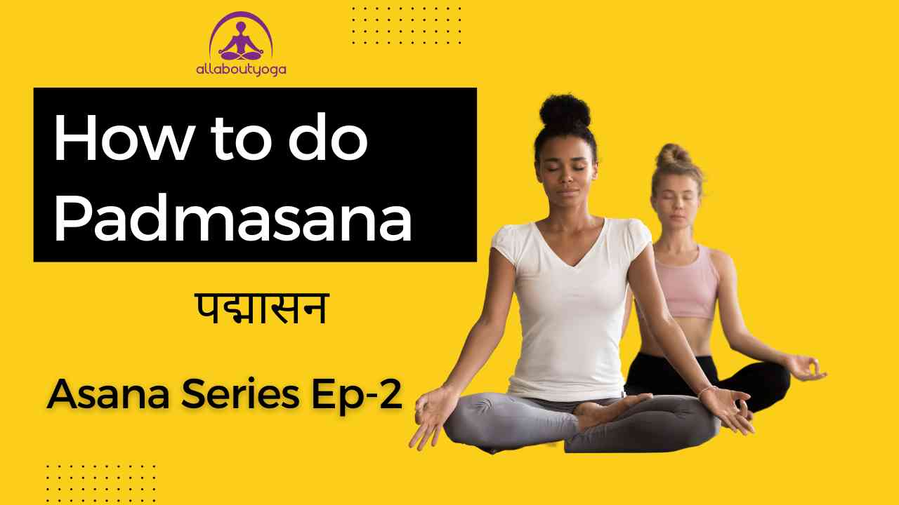 Padmasana - The Lotus Pose for Meditation