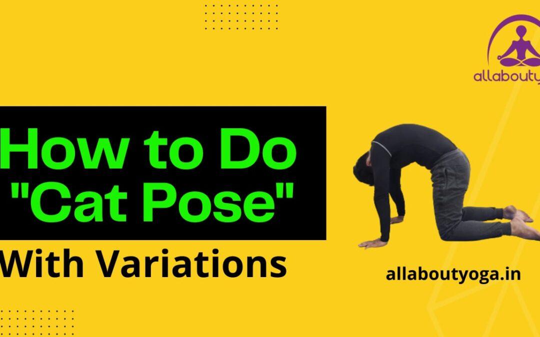 How to do Cat Pose|Its variations and Benefits in reducing Back pain/Neck pain |Tripad Marjarasana